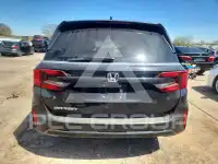 2026 Honda ODYSSEY фото