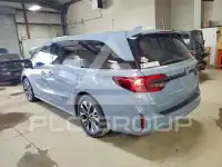 2026 Honda ODYSSEY фото