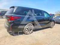 2026 Honda ODYSSEY фото