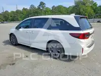 2026 Honda ODYSSEY фото