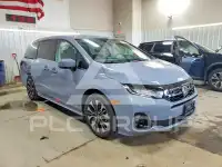 2026 Honda ODYSSEY фото
