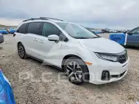 2026 Honda ODYSSEY фото