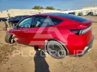 2026 Tesla Model Y photo