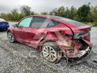 2026 Tesla Model Y photo