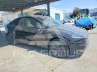 2026 Tesla Model Y photo