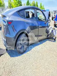 2026 Tesla Model Y photo