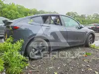 2026 Tesla Model Y photo
