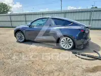 2026 Tesla Model Y фото