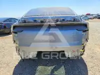 2026 Tesla Model Y photo