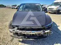 2026 Tesla Model Y photo