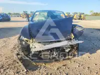 2026 Tesla Model Y photo