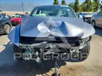 2026 Tesla Model Y photo