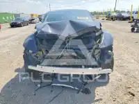 2026 Tesla Model Y фото