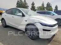 2026 Tesla Model Y photo