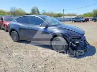 2026 Tesla Model Y photo