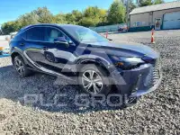 2026 Lexus RX фото