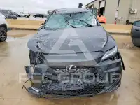 2026 Lexus RX photo