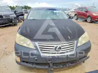 2010 Lexus ES350 фото