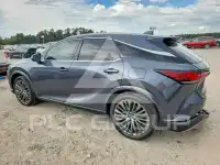 2026 Lexus RX фото