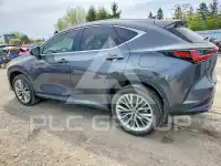 2026 Lexus NX фото