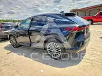 2026 Lexus  photo