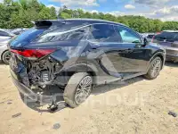 2026 Lexus  photo