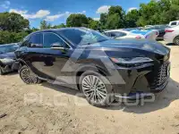 2026 Lexus  photo