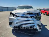 2026 Lexus  фото