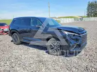 2026 Lexus  photo
