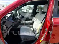 2026 Lexus  photo