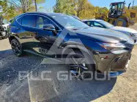 2026 Lexus NX фото