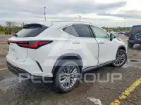 2026 Lexus NX фото