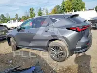 2026 Lexus NX фото