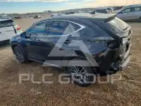 2026 Lexus NX photo