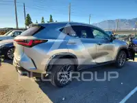 2026 Lexus NX photo