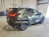 2026 Lexus NX фото