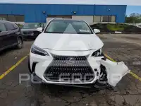 2026 Lexus NX фото