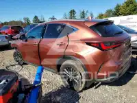 2026 Lexus NX фото