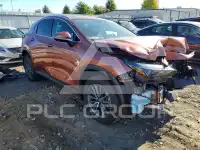2026 Lexus NX фото