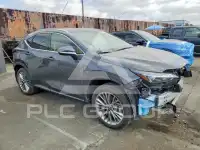 2026 Lexus NX250 фото