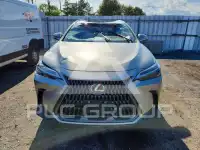 2026 Lexus NX photo