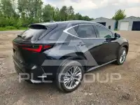 2026 Lexus NX фото