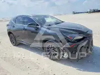 2026 Lexus NX photo