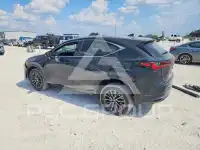 2026 Lexus NX photo