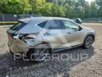 2026 Lexus NX photo