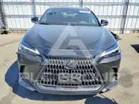 2026 Lexus NX фото