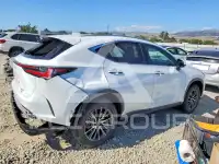 2026 Lexus NX photo