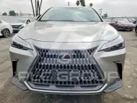 2026 Lexus NX фото