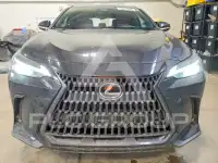 2026 Lexus NX photo