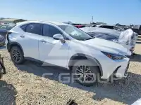 2026 Lexus NX photo